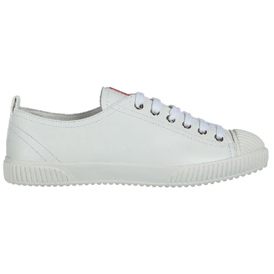 Shop Prada Jasmin De Pays Sneakers In Bianco