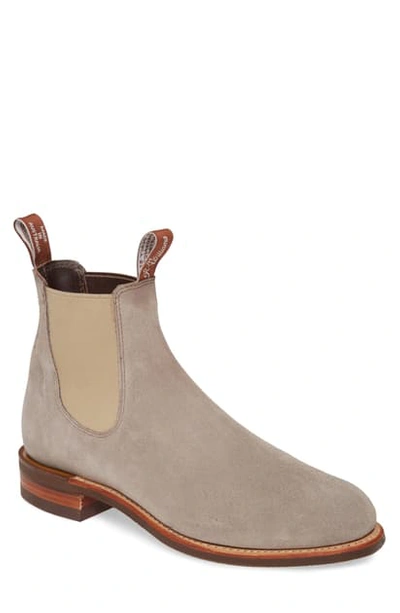 Shop R.m.williams Comfort Turnout Chelsea Boot In Putty Suede