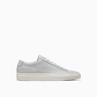 Shop Common Projects Original Achilles Low Sneakers 6017 In Ice