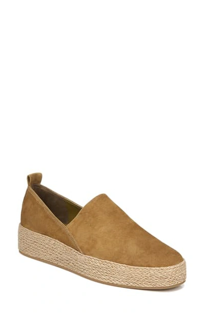 Shop Vince Saxon Espadrille Platform Sneaker In Olive Wood