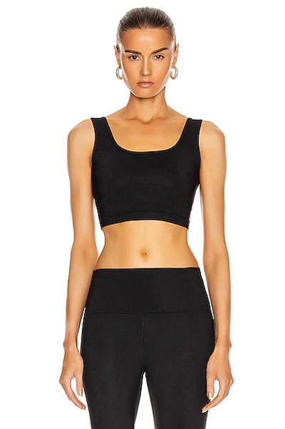 Shop Wardrobe.nyc Crop Top In Black