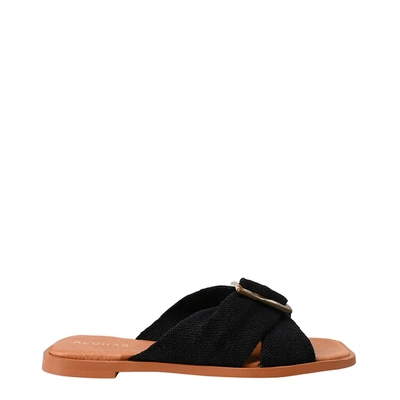 Shop Alohas Samba Flat Sandals In Black