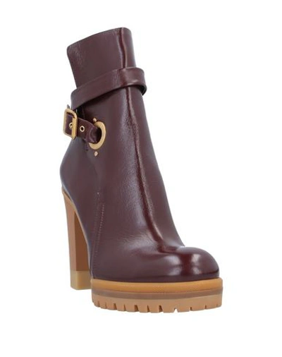 Chloé Ankle Boot In Maroon