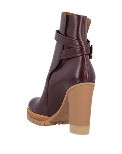 Chloé Ankle Boot In Maroon