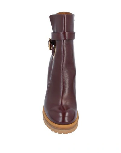 Shop Chloé Ankle Boot In Maroon