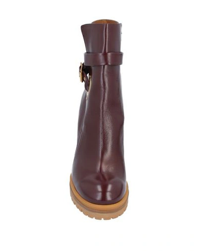 Chloé Ankle Boot In Maroon