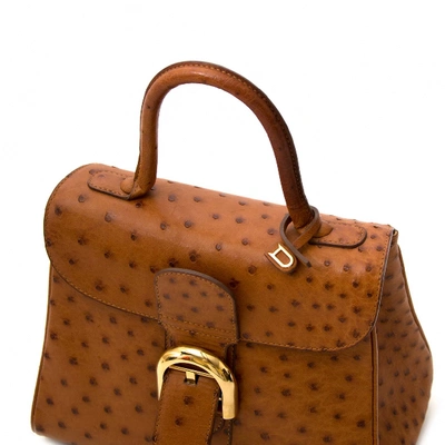 Pre-owned Delvaux Le Brillant Brown Ostrich Handbag