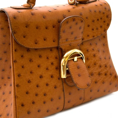 Pre-owned Delvaux Le Brillant Brown Ostrich Handbag