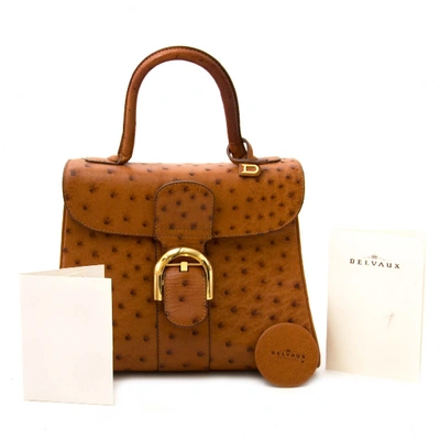 Pre-owned Delvaux Le Brillant Brown Ostrich Handbag