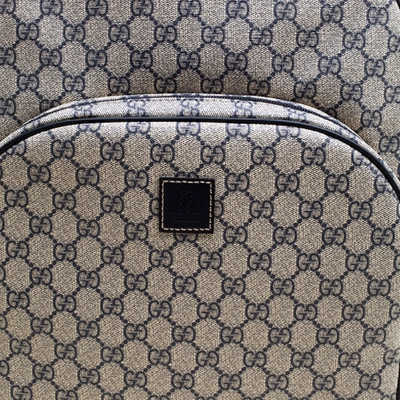 Pre-owned Gucci Beige Cloth Travel Bag