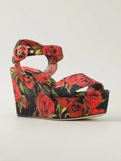 Shop Dolce & Gabbana Rose Print Brocade Wedge Sandals