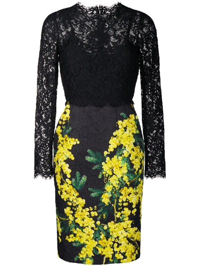 Shop Dolce & Gabbana Mimosa-print And Lace Dress In Black