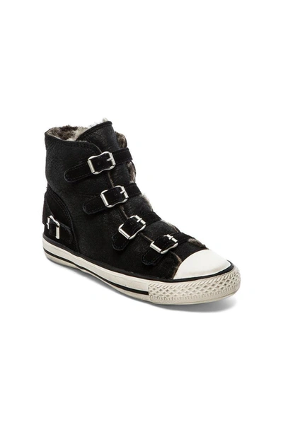 Ash Virgin Buckled High Top Sneakers In Black | ModeSens