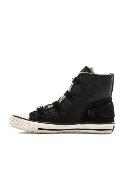 Shop Ash Virginy Sneaker In Black