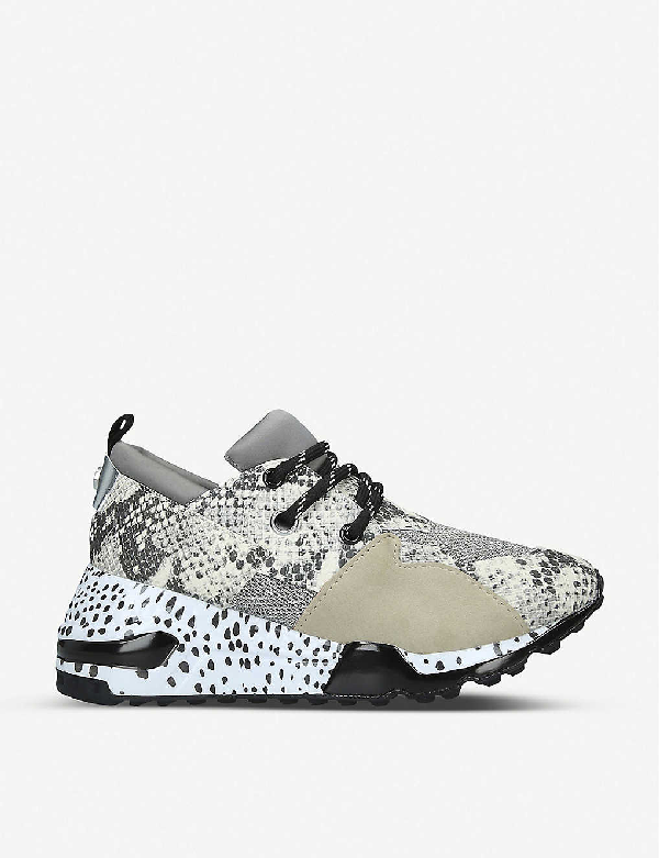 steve madden sneakers snakeskin