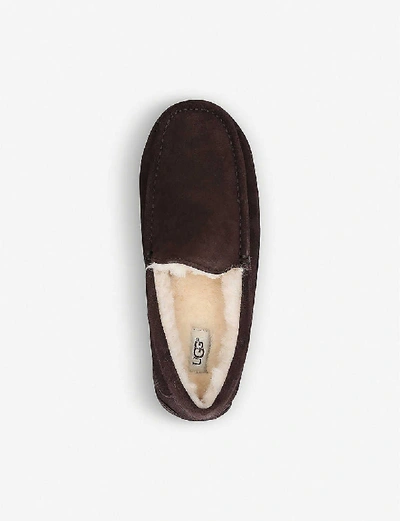 Shop Ugg Ascot Suede And Fleece Slippers In Mid Brown