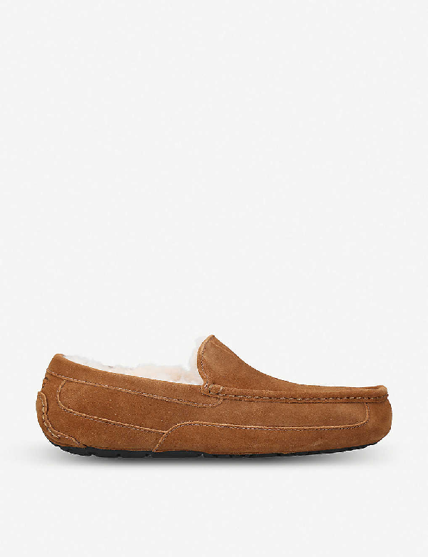 mens ugg ascot slippers chestnut