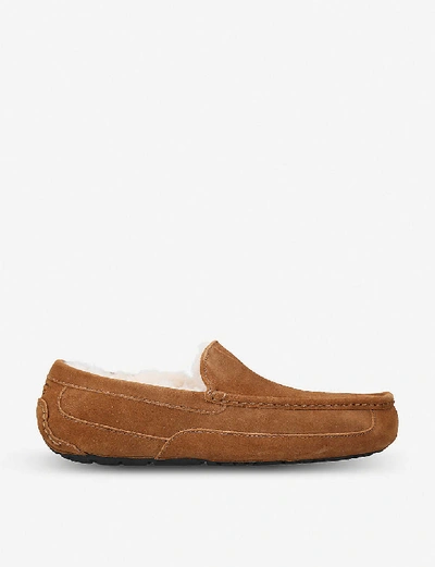 Shop Ugg Ascot Suede Loafers In Brown