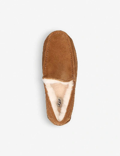 Shop Ugg Ascot Suede Loafers In Brown