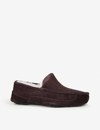 Shop Ugg Men's Dark Brown Ascot Suede And Fleece Slippers