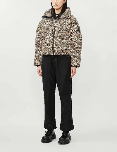 Shop Cordova Mont Blanc Cropped Shell-down Jacket In Ocelot