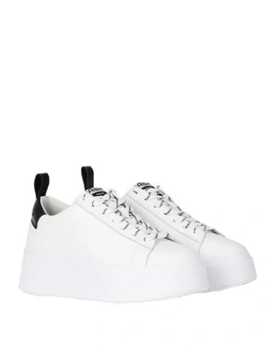 Shop Ash Sneakers In White