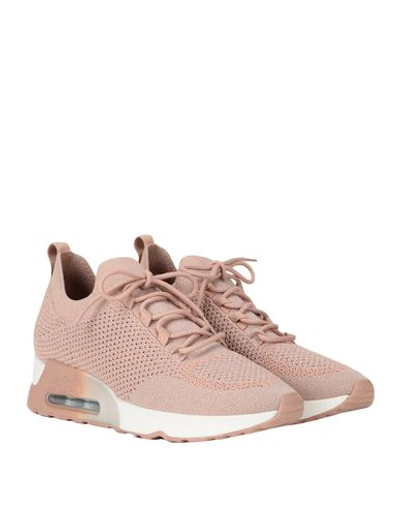 Shop Ash Sneakers In Pink