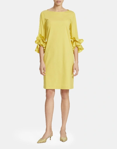 Shop Lafayette 148 Classic Stretch Cotton Whitby Dress In Quince