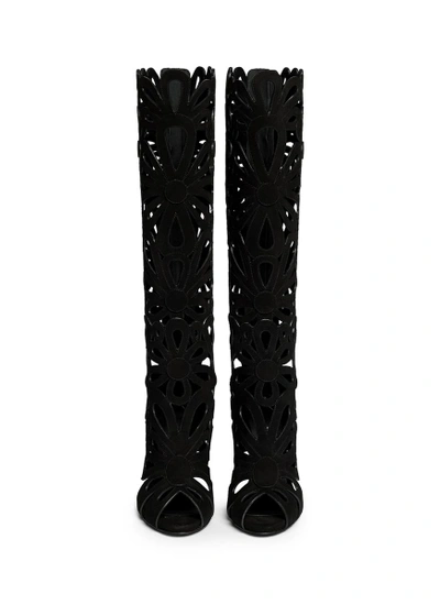 Shop Giuseppe Zanotti 'coline' Floral Cutout Suede Knee High Boots