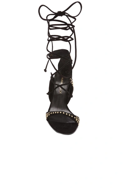 Shop Tamara Mellon Gladiatrix Suede Sandals With Microstuds In Black