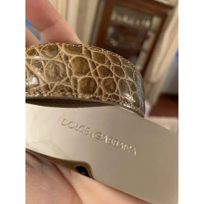 Pre-owned Dolce & Gabbana Ecru Crocodile Belt