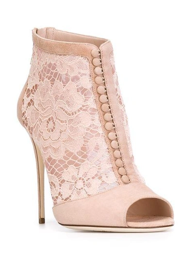 Shop Dolce & Gabbana Bette Booties In Pink