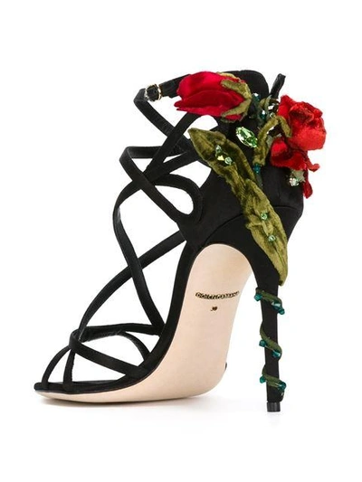 Shop Dolce & Gabbana Climbing Rose Sandals