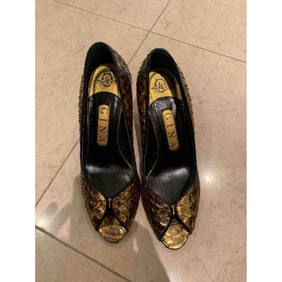 Pre-owned Gina Gold Python Heels