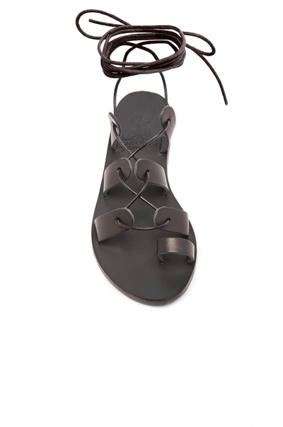 Shop Ancient Greek Sandals Leather Alcyone Sandals In Black