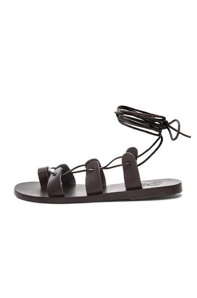 Shop Ancient Greek Sandals Leather Alcyone Sandals In Black