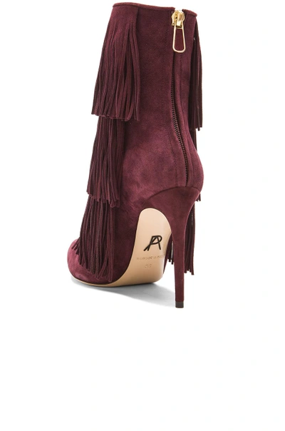 Shop Paul Andrew Taos Suede Booties In Cordovan