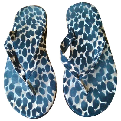 Pre-owned Dolce & Gabbana Cloth Flip Flops In Blue