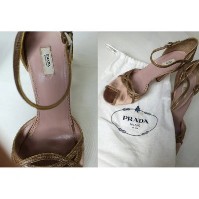 Pre-owned Prada Leather Heels In Multi