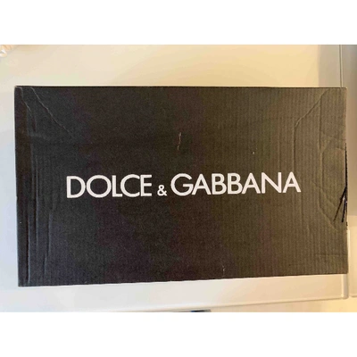 Pre-owned Dolce & Gabbana Trainers In Multicolour