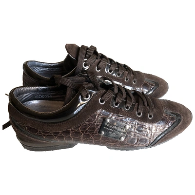 Pre-owned Dolce & Gabbana Brown Crocodile Trainers