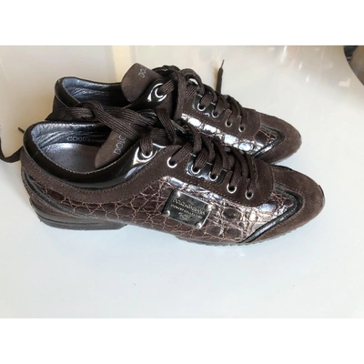 Pre-owned Dolce & Gabbana Brown Crocodile Trainers