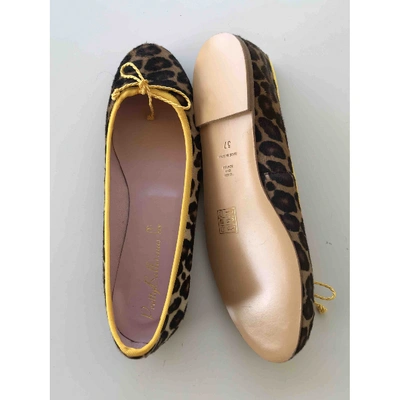 Pre-owned Pretty Ballerinas Brown Pony-style Calfskin Ballet Flats