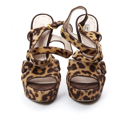 Pre-owned Miu Miu Pony-style Calfskin Sandals In Brown