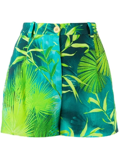 Shop Versace Jungle Print Shorts In Green