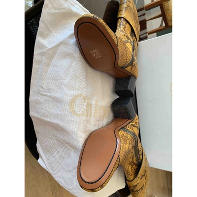 Pre-owned Chloé Lexie Yellow Python Ankle Boots