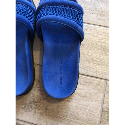 Pre-owned Alexander Wang Sandals In Blue