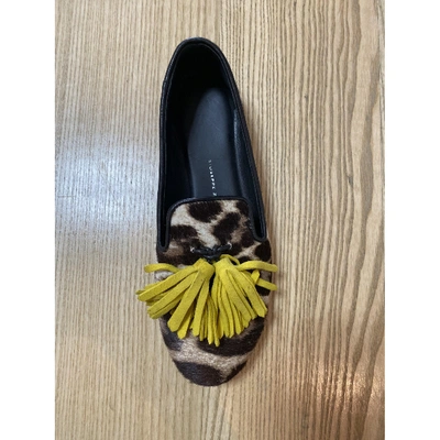 Pre-owned Giuseppe Zanotti Pony-style Calfskin Flats In Brown