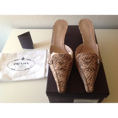 Pre-owned Prada Pink Python Mules & Clogs