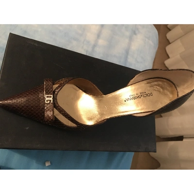 Pre-owned Dolce & Gabbana Brown Python Heels